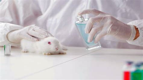 chanel tested on animals